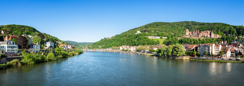 Dipl. Psychologe Gerhard Fischl in Heidelberg: Impressum