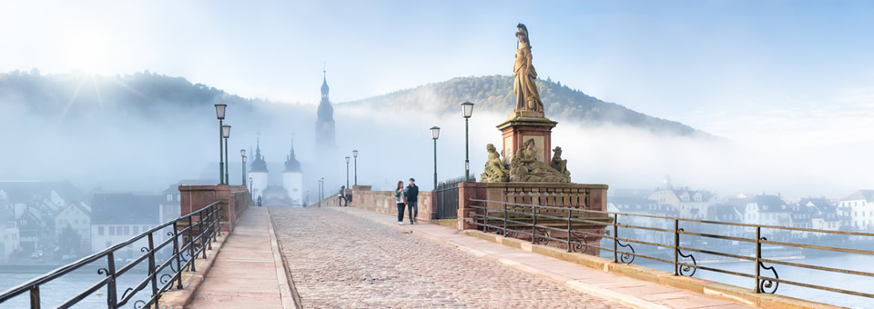 Psychologen und Psychotherapeuten in Heidelberg: Gerhard Fischl
